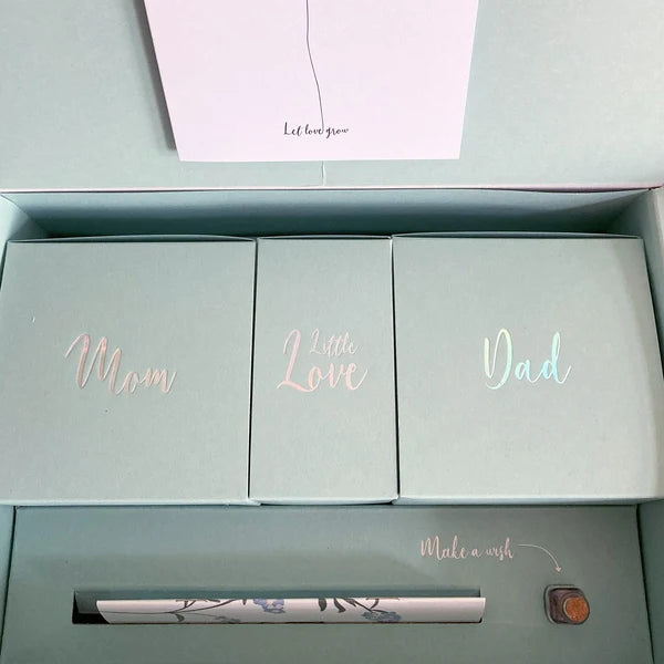 We Are Family Box in Salbeigrün – Gender Reveal Edition