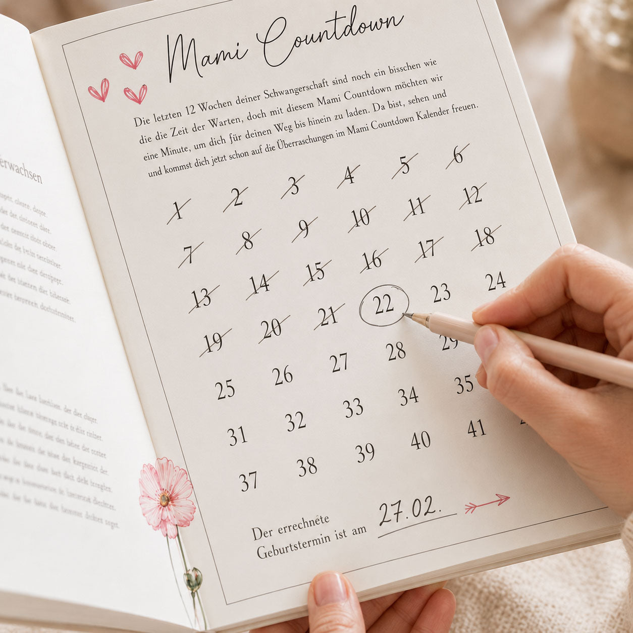 Mami-Countdown-Kalender ™ Wohlfühl-Box-für Schwangere - Countdown zur Schwangerschaft